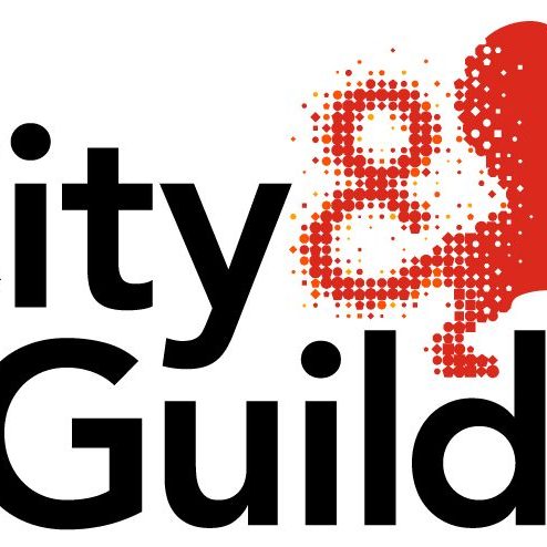 CG_Qualified_Level2_colour